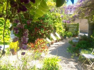 Chambre d'hôtes La Glycine